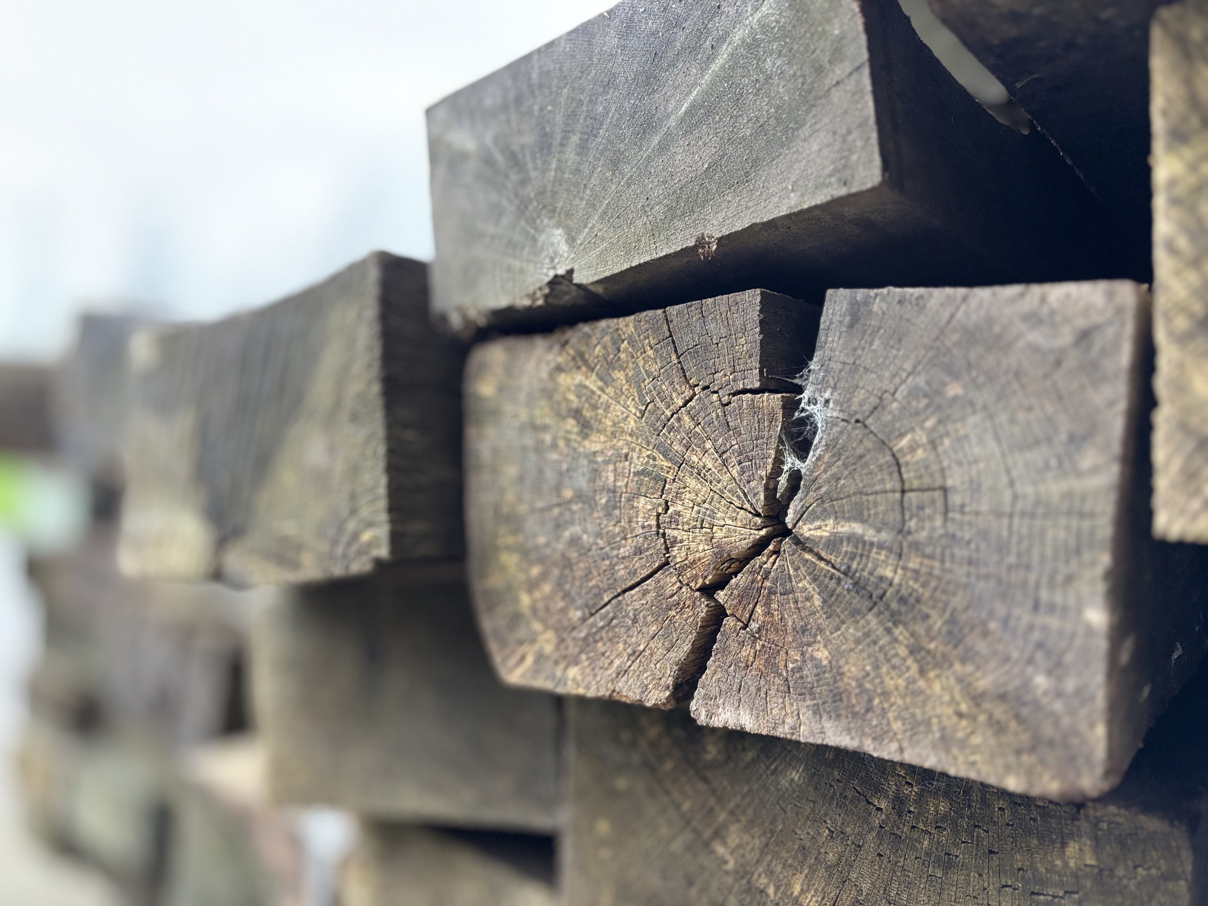 The Reclaimed Timber Revival: Why British Homes Are Falling Back in Love with Real Wood