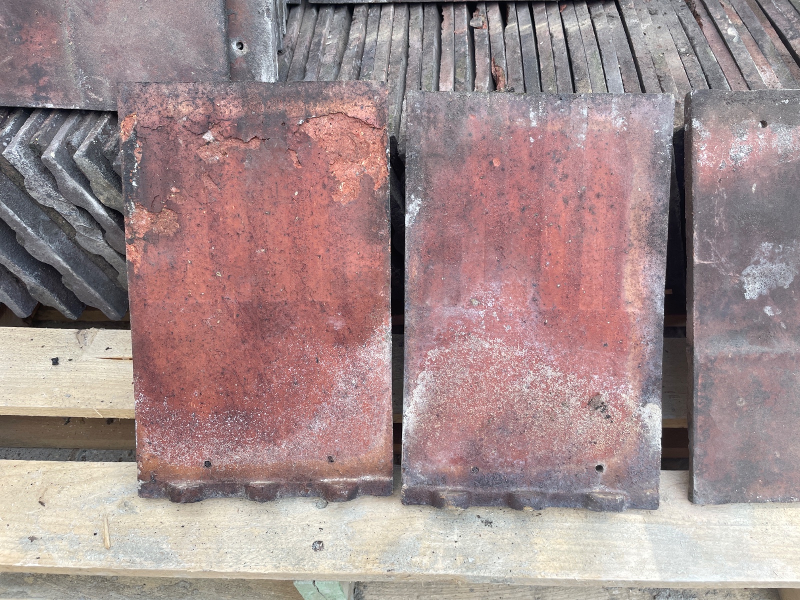 Clay roof tiles — photo 5 of 5