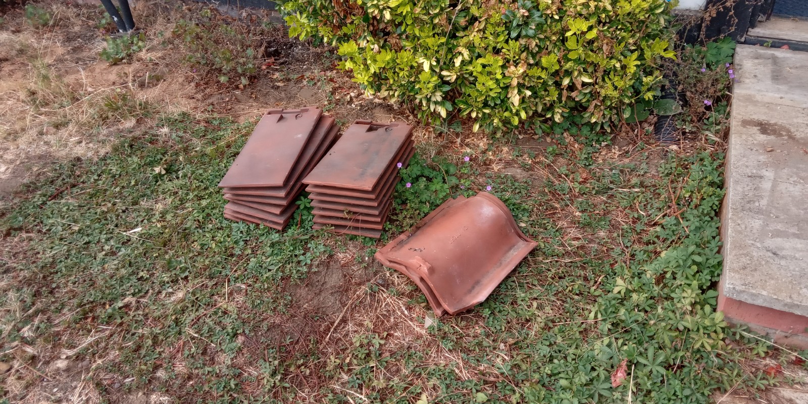 Sandtoft 20/20 clay tiles tuscan colour — photo 3 of 4